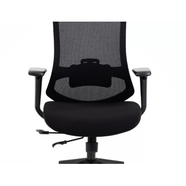 Fotel obrotowy Ergon