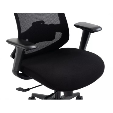 Fotel obrotowy Ergon