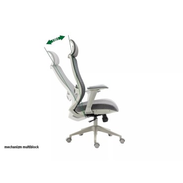 Fotel obrotowy Ergon