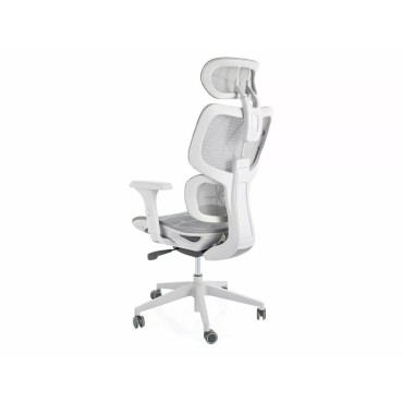 Fotel obrotowy Devon